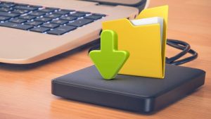 Jenny-Stewart-Tyne-Valley-Express-windows-10