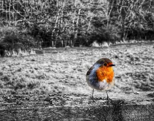 colour pop technique