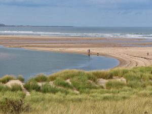 credit to sue_gabbatis