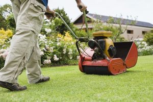 lawn mower image