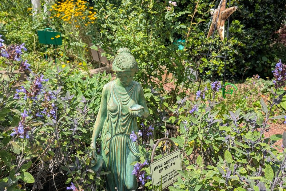 Hebe Goddess of Youth Dilston Physic Garden Banner