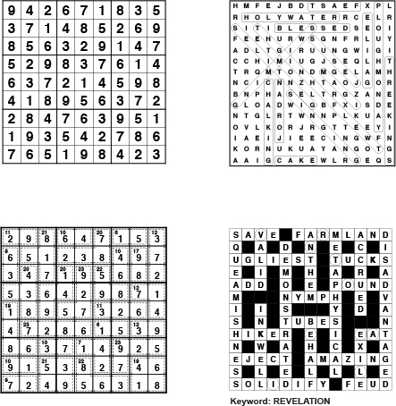 Solutions-Tyne-Valley-Express-Puzzle-101